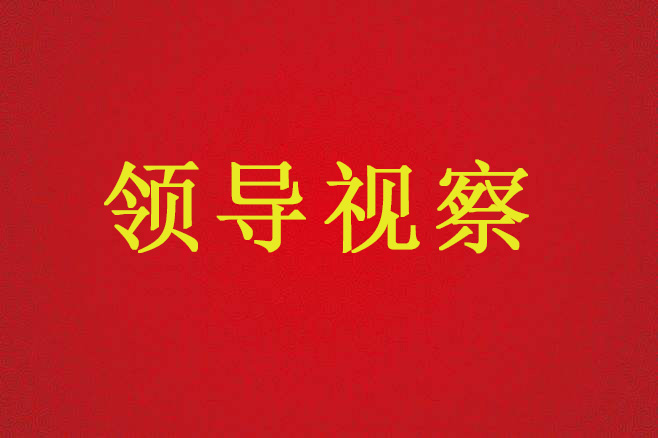 陜西省國土資源廳廳長盧勇一行來不動產(chǎn)登記服務中心調(diào)研、指導工作