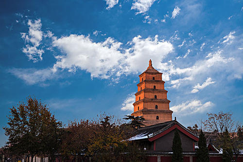 賞曲江美景，體驗(yàn)中國(guó)年